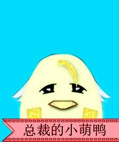 《家有萌鸭》