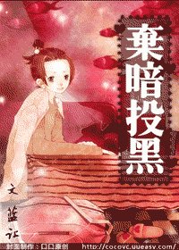 弃暗投黑