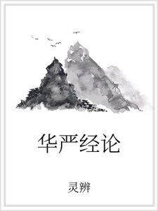 《华严经论》
