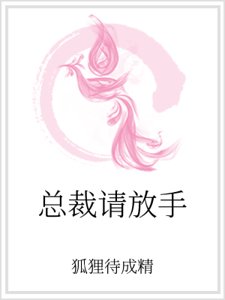 总裁请放手 