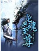 《龙魂至尊》