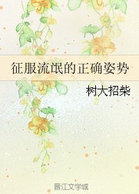 《征服流氓的正确姿势》