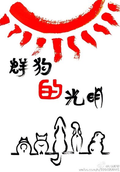 群狗的光明