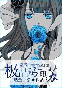 （家教同人）[家教]极品玛丽苏