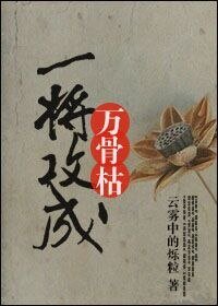 《一将攻成万骨灭》