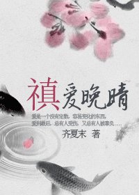 《禛爱晚晴》
