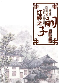 《(红楼同人)红楼之嗣子》