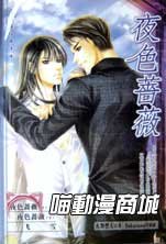 《夜尊蔷薇(夜尊系列之一出书版)》