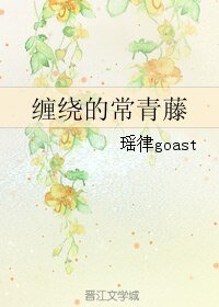《(黑篮同人)缠绕的常青藤》