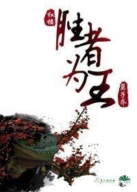 （红楼同人）胜者为王