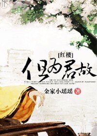 《(红楼同人)但为君故》