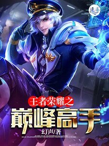 王者荣耀之巅峰高手