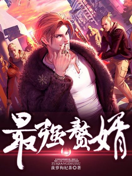 《最强赘婿.》