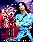 《古武风暴》
