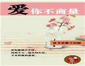 《爱你不商量》