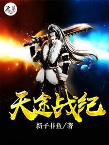 天途战纪