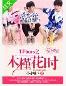 TFboys之木槿花时