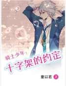 《骑士少年:十字架的约定》