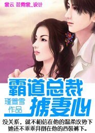 《霸道总裁掳妻心》