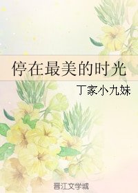 《停在最美的时光》