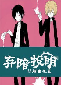 弃暗投明