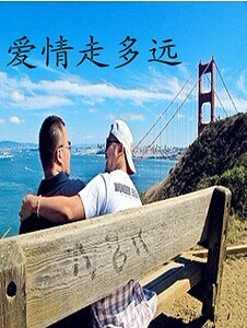 《爱情走多远》
