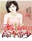 《三嫁高冷帝少:强娶少夫人》