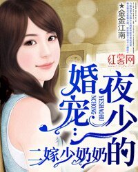 《夜少的婚宠:二嫁少奶奶》