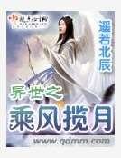 异世之乘风揽月