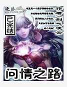 《问情之路》