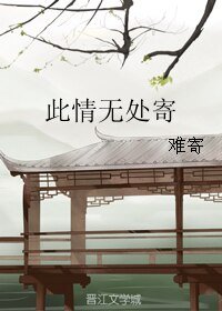 此情无处寄