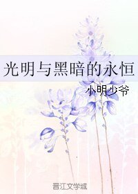 《光明与黑暗的永恒》