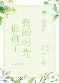 《谁偷了我的时光》