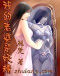 《我的老婆是妖精/仙肪》