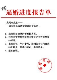 （综同人）[综]逼婚进度报告单