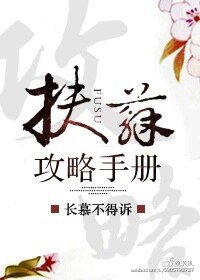 《扶苏攻略手册》
