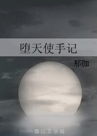 堕天使手记