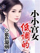 低调的小小宫女