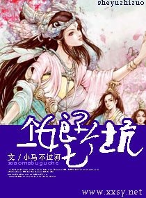 《一个娘子七个坑》