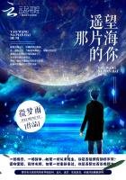《遥望那片海的你》