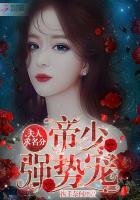 《帝少强势宠:夫人,求名分》