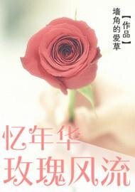 《忆年华,玫瑰风流》