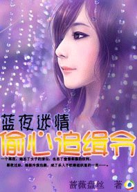 蓝夜迷情：偷心追缉令