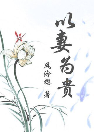 以妻为贵