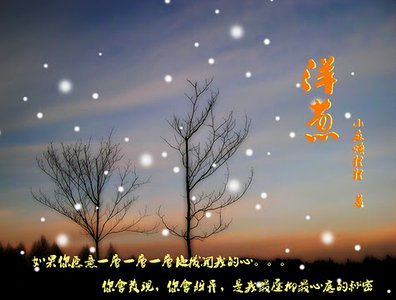 洋葱（修改版）
