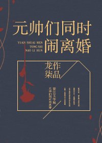 《元帅们同时闹离婚》