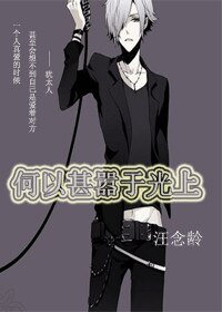 何以甚嚣于光上