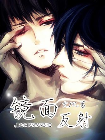 [双子]镜面反射