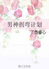 《男神拐弯计划》