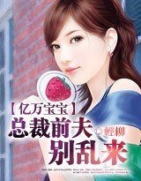 亿万宝宝：总裁前夫，别乱来